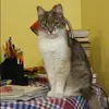 Отзыв от Валентина Корнева